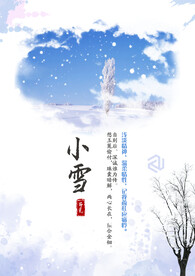 小雪海报