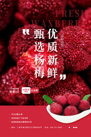 杨梅水果海报