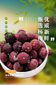 甄选优质杨梅海报