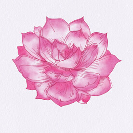 国风水墨工笔画莲花