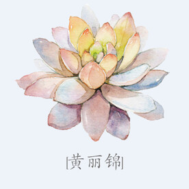 png格式植物花卉手绘素材