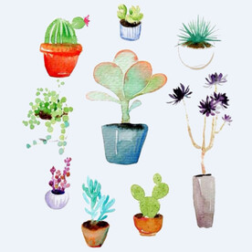 png格式植物花卉手绘素材