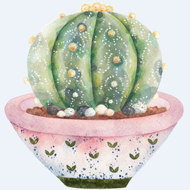 png格式植物花卉手绘素材