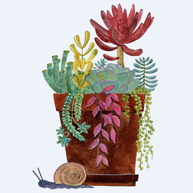 png格式植物花卉手绘素材