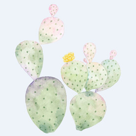 png格式植物花卉手绘素材