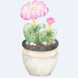 png格式植物花卉手绘素材