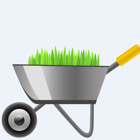 png格式植物花卉手绘素材