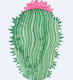 png格式植物花卉手绘素材