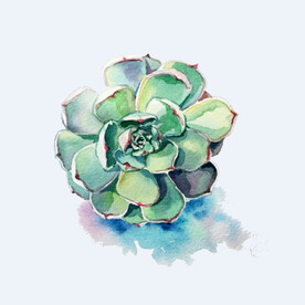 png格式植物花卉手绘素材