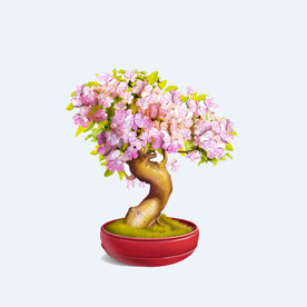 png格式植物花卉手绘素材