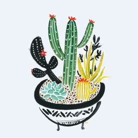 png格式植物花卉手绘素材