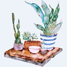 png格式植物花卉手绘素材