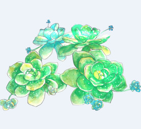 png格式植物花卉手绘素材