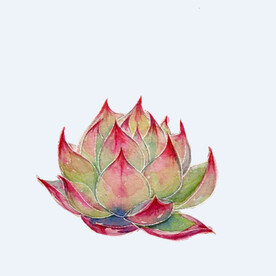 png格式植物花卉手绘素材