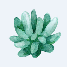 png格式植物花卉手绘素材