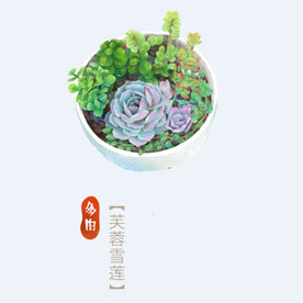 png格式植物花卉手绘素材