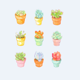 png格式植物花卉手绘素材