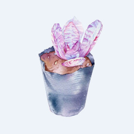 png格式植物花卉手绘素材