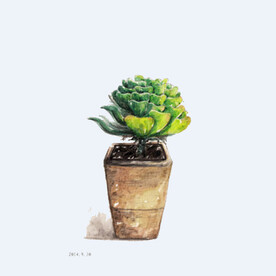 png格式植物花卉手绘素材