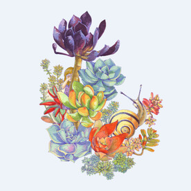 png格式植物花卉手绘素材