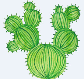 png格式植物花卉手绘素材