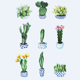 png格式植物花卉手绘素材