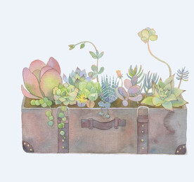 png格式植物花卉手绘素材