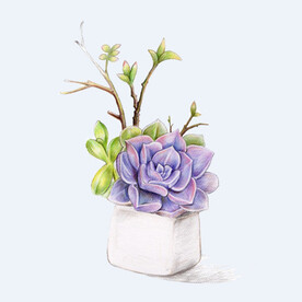 png格式植物花卉手绘素材