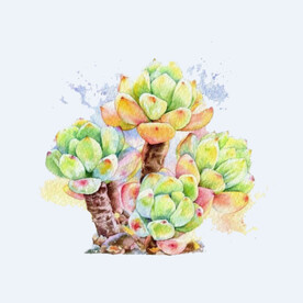 png格式植物花卉手绘素材