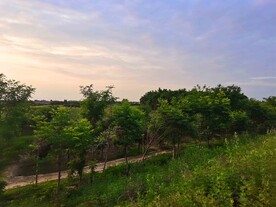 日暮下的乡村美景