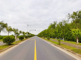 美丽的乡村道路风景
