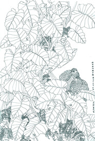 绿荫浓烟藏罗鹑