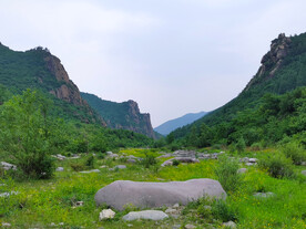 丰景