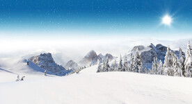 冬季雪景