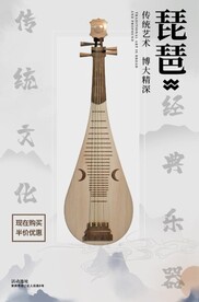 琵琶海报