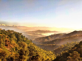 山