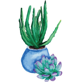 png格式植物花卉手绘素材