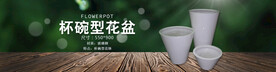 轮播大图