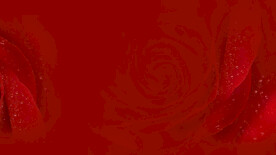 红色背景 舞台背景 红色会议背