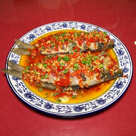 火焰鲫鱼