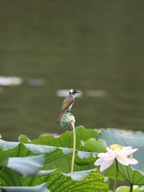 休憩