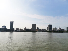 杨浦江
