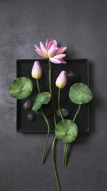 背景图  