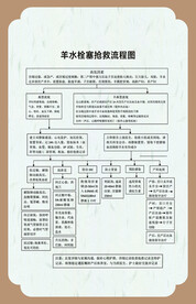 妇产科制度   产科安全  