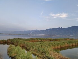 伍姓湖