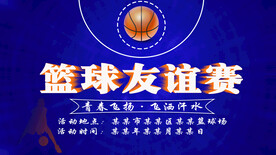 篮球友谊赛 