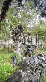 苏州怡园太湖石