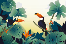 热带雨林大嘴鸟