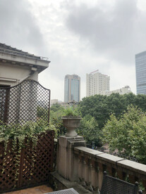 阳台绿植 