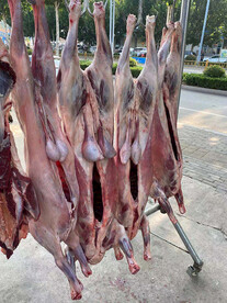 羊肉